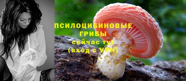 молекула духа Ростов